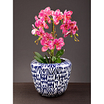 Кашпо с орнаментом в сочетании белого и синего цвета Artistic Flowerpot варинант исполнения - 4 | Loft Concept в Сочи