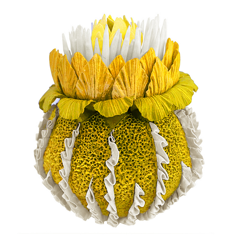 Желтый Экзотический фрукт Yellow Pandora Exotic Fruit  44 Желтый в Сочи | Loft Concept 