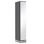 Шкаф-пенал с зеркальной дверцей и фасадом цвета графит Strict Lines варинант исполнения - 2 | Loft Concept в Сочи