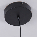 Люстра подвесная светодиодная черный металл Ring Horizontal варинант исполнения - 6 | Loft Concept в Сочи