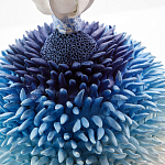 Статуэтка Синий тропический фрукт Tropical Fruit Pandora 4 варинант исполнения - 1 | Loft Concept в Сочи