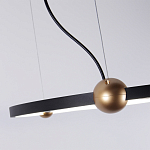 Люстра подвесная светодиодная черный металл Ring Horizontal варинант исполнения - 3 | Loft Concept в Сочи