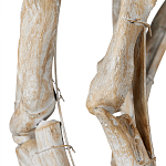 Люстра круглая в виде веток деревьев Natural Driftwood варинант исполнения - 3 | Loft Concept в Сочи