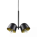 Подвесной светильник черный с 2-мя плафонами Pendant lamp Black варинант исполнения - 2 | Loft Concept в Сочи