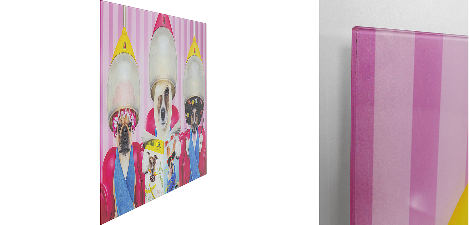 Картина Dogs in a beauty salon  - Loft-Concept в Сочи