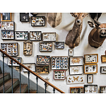 Книга Extraordinary Collections: French Interiors варинант исполнения - 11 | Loft Concept в Сочи