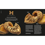 Книга Treasures of India From Antiquity to Modernity варинант исполнения - 3 | Loft Concept в Сочи