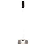 Подвесной светильник Blanton smoky 23 варинант исполнения - 2 | Loft Concept в Сочи