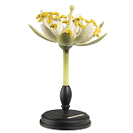 Статуэтка Tilia варинант исполнения - 2 | Loft Concept в Сочи