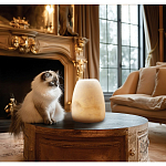 Настольная лампа в форме трапеции из натурального камня Soft Glow of Stone варинант исполнения - 5 | Loft Concept в Сочи