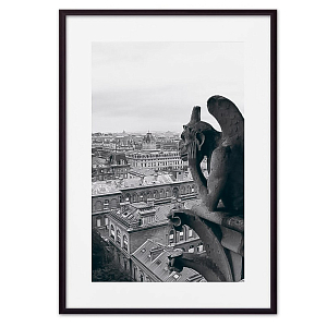 Постер Gargoyle Of Notre Dame