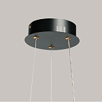 Люстра с прозрачным волнистым плафоном в форме цветка Ethereal Bloom варинант исполнения - 11 | Loft Concept в Сочи