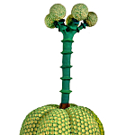 Статуэтка Зеленый тропический фрукт Pandora Tropical Light Green 69 варинант исполнения - 1 | Loft Concept в Сочи