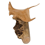 Статуэтка из дерева скат Animals of the World варинант исполнения - 2 | Loft Concept в Сочи