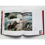 Книга Коллекция картин Сарджента Sargent: The Masterworks варинант исполнения - 6 | Loft Concept в Сочи