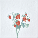 Плитка с узором Земляника варинант исполнения - 2 | Loft Concept в Сочи