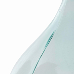 Ваза-бутыль из стекла TRANSPARENT FORMS 56 варинант исполнения - 4 | Loft Concept в Сочи