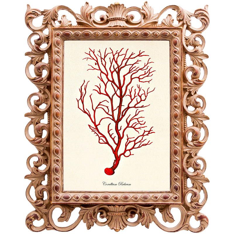 Постер Red Coral Poster 4 Бежевый Красный Постер Red Coral Poster 4 Бежевый Красный в Сочи | Loft Concept