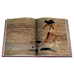 Лимитированная подарочная большая книга CARTIER Panthère варинант исполнения - 12 | Loft Concept в Сочи