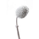 Статуэтка тропический фрукт Pandora Tropical Fruit Tall White варинант исполнения - 1 | Loft Concept в Сочи