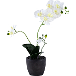 Декоративный искусственное растение Angel Orchid варинант исполнения - 1 | Loft Concept в Сочи