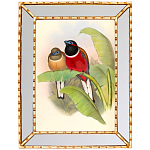 Постер с изображением птиц и цветов в зеркальной раме Blooming Birds Poster варинант исполнения - 6 | Loft Concept в Сочи