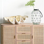 Блюдо декоративное в виде ракушки Seashell варинант исполнения - 1 | Loft Concept в Сочи