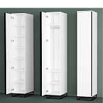 Шкаф-пенал белый с зеркальной дверцей Strict Lines варинант исполнения - 5 | Loft Concept в Сочи