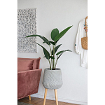 Декоративный искусственное растение Decor Stile  варинант исполнения - 6 | Loft Concept в Сочи