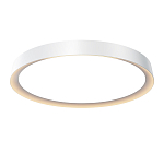 Потолочный светильник Incognito 2700-4000К 46Вт варинант исполнения - 1 | Loft Concept в Сочи