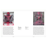 Книга Tantra: Enlightenment to Revolution варинант исполнения - 4 | Loft Concept в Сочи