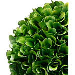 Декоративный искусственное растение Single boxwood варинант исполнения - 2 | Loft Concept в Сочи