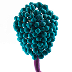 Статуэтка для интерьера фрукт Pandora Tropical Fruit 22 варинант исполнения - 2 | Loft Concept в Сочи