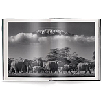 Книга Beusker. Look into my Eyes варинант исполнения - 2 | Loft Concept в Сочи