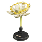 Статуэтка Tilia варинант исполнения - 3 | Loft Concept в Сочи