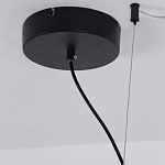 Люстра подвесная светодиодная черный металл Ring Horizontal варинант исполнения - 13 | Loft Concept в Сочи