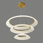 Люстра подвесная с 3-мя кольцевыми светодиодными лампами Catcher варинант исполнения - 1 | Loft Concept в Сочи