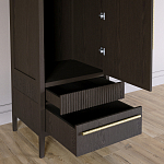 Узкий Шкаф Primo с 2 выдвижными ящиками Темный орех варинант исполнения - 5 | Loft Concept в Сочи