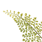 Декоративный искусственное растение Dried flower варинант исполнения - 3 | Loft Concept в Сочи