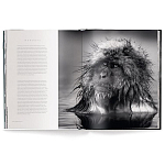 Книга Beusker. Look into my Eyes варинант исполнения - 3 | Loft Concept в Сочи