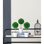 Декоративный искусственное растение Boxwood One варинант исполнения - 9 | Loft Concept в Сочи