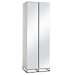 Двухдверный шкаф с зеркальными дверцами Strict Lines варинант исполнения - 5 | Loft Concept в Сочи