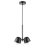 Подвесной светильник черный с 2-мя плафонами Pendant lamp Black варинант исполнения - 1 | Loft Concept в Сочи