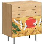 Комод с принтом на ящиках Elise Chest of Drawers варинант исполнения - 4 | Loft Concept в Сочи