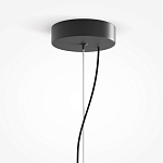 Подвесной светильник Rare grapes варинант исполнения - 4 | Loft Concept в Сочи