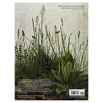 Самая полная история искусства на английском языке  A World History of Art, Revised 7th ed.: Revised 7th Edition варинант исполнения - 2 | Loft Concept в Сочи