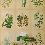 Обои ручная роспись Botanical Studies Linnaeus colourway варинант исполнения - 3 | Loft Concept в Сочи