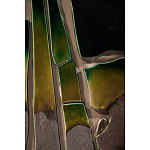 Панно «Амазония» варинант исполнения - 3 | Loft Concept в Сочи