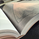 Лимитированное издание Иллюстрации модного дома Book: Dior par Mats Gustafson Vol. II Maria Grazia Chiuri варинант исполнения - 3 | Loft Concept в Сочи