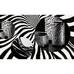 Редкое коллекционное издание Casa Cavalli Home: Celebrating the Roberto Cavalli Lifestyle Зебра варинант исполнения - 4 | Loft Concept в Сочи